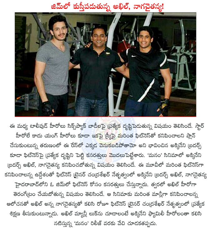 akkineni brothers in gym,akhil akkineni,akkineni naga chaitanya,akkineni multistarrer manam,akhil busy building his body,manam,akkineni multistarrer,akhil,naga chaitanya,  akkineni brothers in gym, akhil akkineni, akkineni naga chaitanya, akkineni multistarrer manam, akhil busy building his body, manam, akkineni multistarrer, akhil, naga chaitanya, 